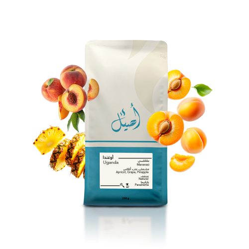 اوغندا - ماناناسي