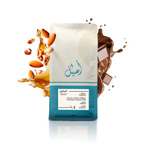 البرازيل - موجيانا