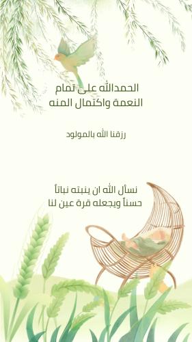 قالب مولود جميل