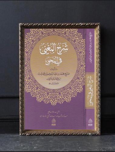شرح المغني في النحو