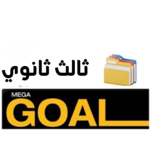 بكج (mega goal 3)