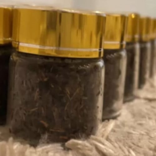 مبسوس الفروع الحصري