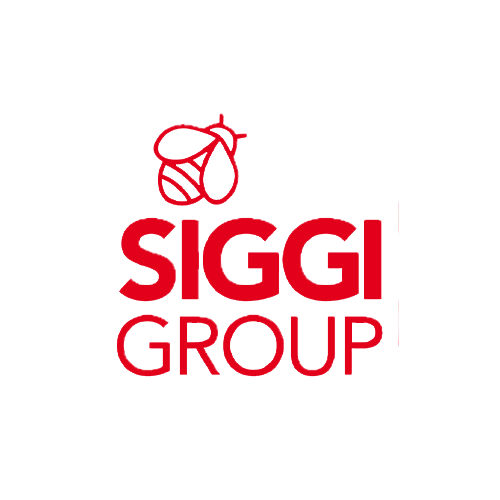 SIGGI GROUP