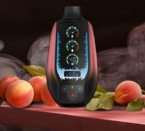 جديد 2025 سحبة جاهزة خوخ ايس MAZAJ SS Peach Ice 20000 Puffs Disposable