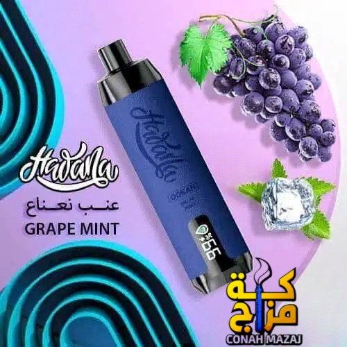 شيشة هوانا 17000 سحبة عنب نعناع Hawana 17000 Puffs grape mint