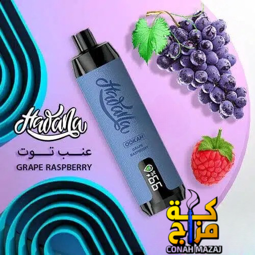 شيشة هوانا 17000 سحبة عنب رازبيري Hawana 17000 Puffs grape raspberry