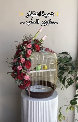 عصافير الحب ( طيور) | Love birds (birds)