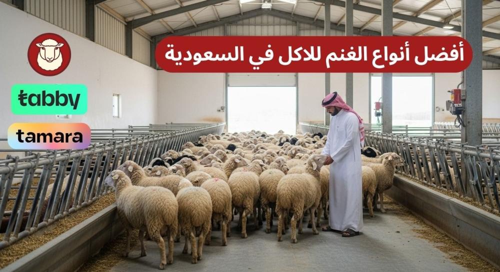 أفضل أنواع الغنم للاكل في السعودية