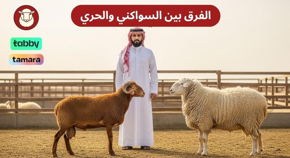 الفرق بين السواكني والحري