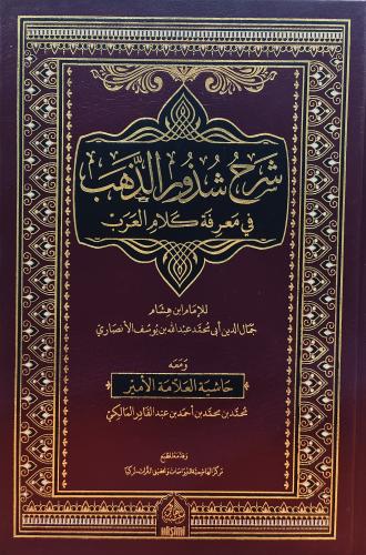 شرح شذور الذهب في معرفة كلام العرب ومعه حاشية الام...