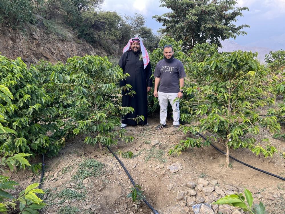 مدرجات زراعية على سفوح عسير
