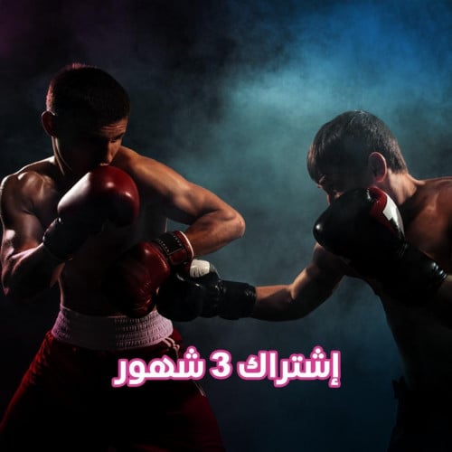 اشتراك ملاكمة ثلاث أشهر