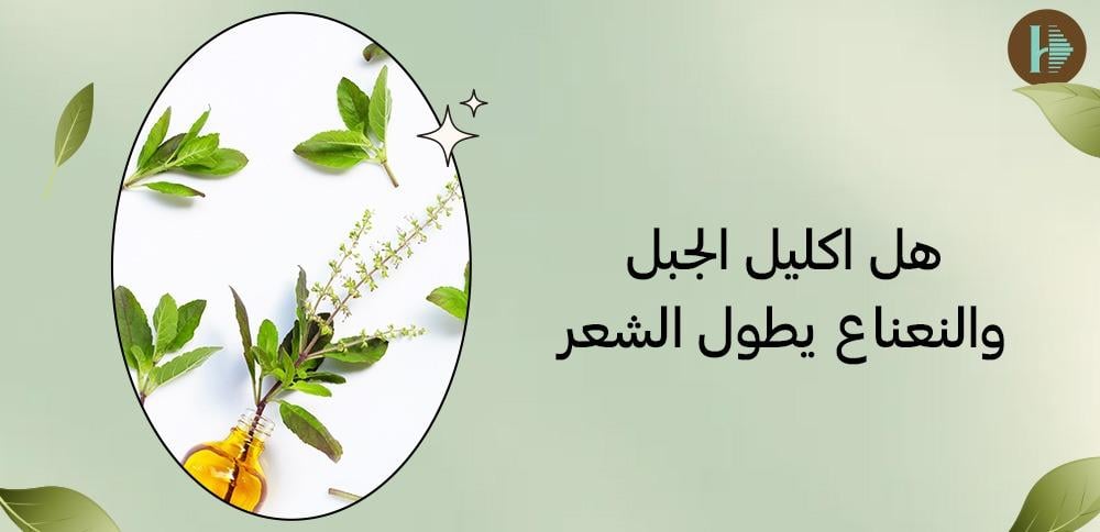 هل اكليل الجبل والنعناع يطول الشعر