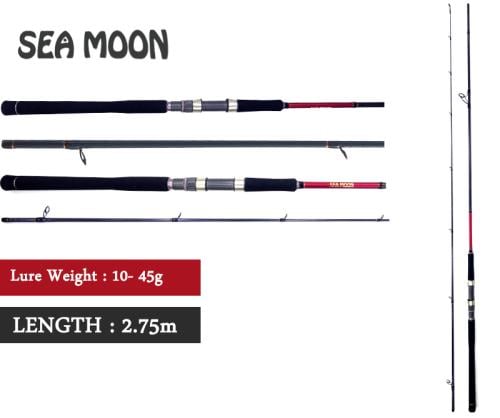 قصبة صيد كاستنج سي مون 2,75 متر 45 جرام