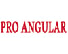 PRO ANGULAR
