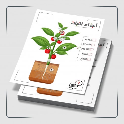 PDF | أوراق عمل أجزاء النبات