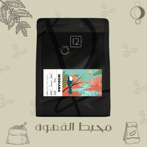 12 كوب -موجيانا 250جرام