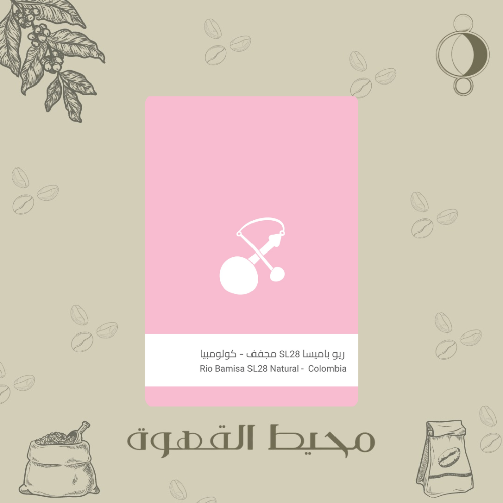 سلالات - ريو باميسا SL-28 -250 جرام