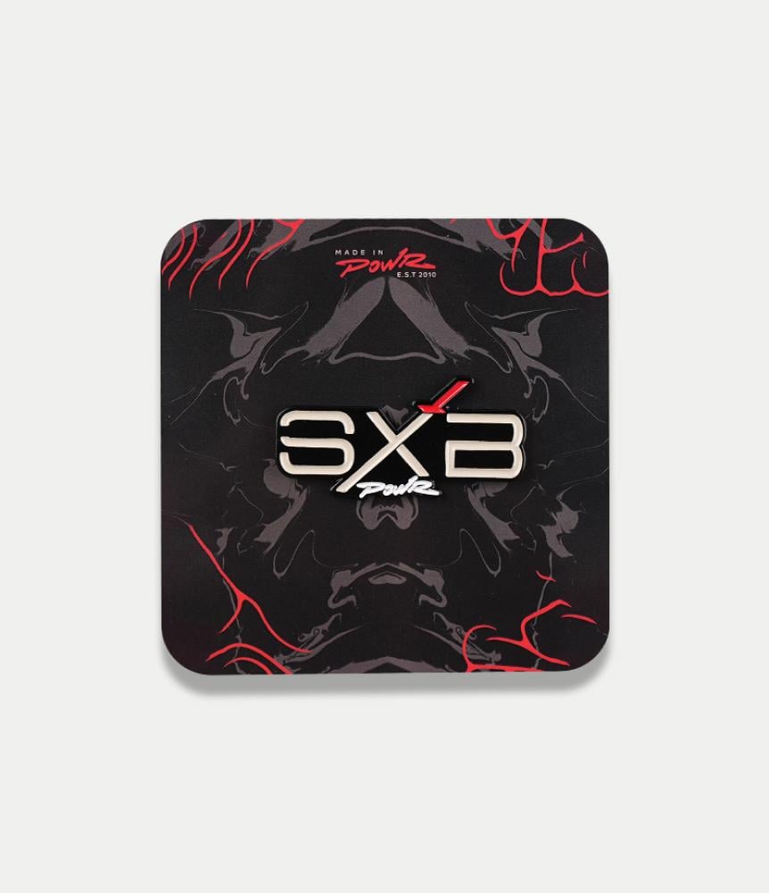 SXB Brooch