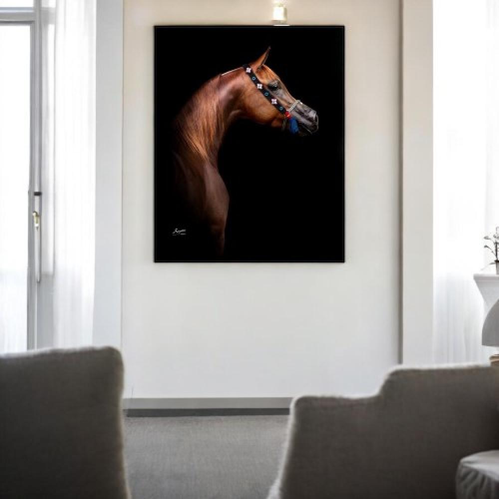 لوحات جدارية خيل 82*122 سم