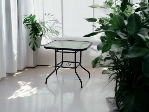 طاولة مربع زجاج شفاف اخظر  F5023