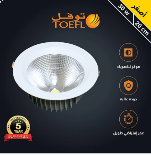 داون لايت كشاف دفن لون الاضاءة اصفر 20 سم 30 واط تصميم عملي بإضاءة مشرقة ومريحة للعين توفل