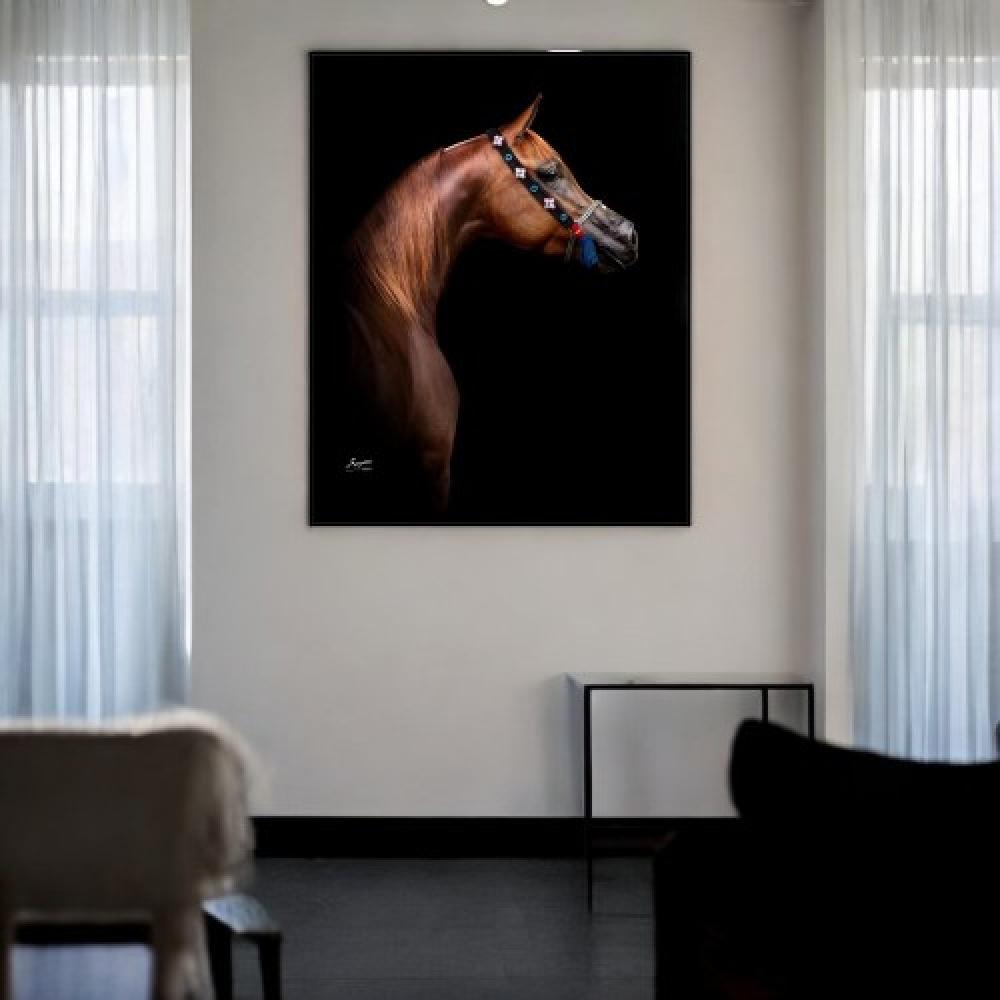 لوحات جدارية خيل 82*122 سم