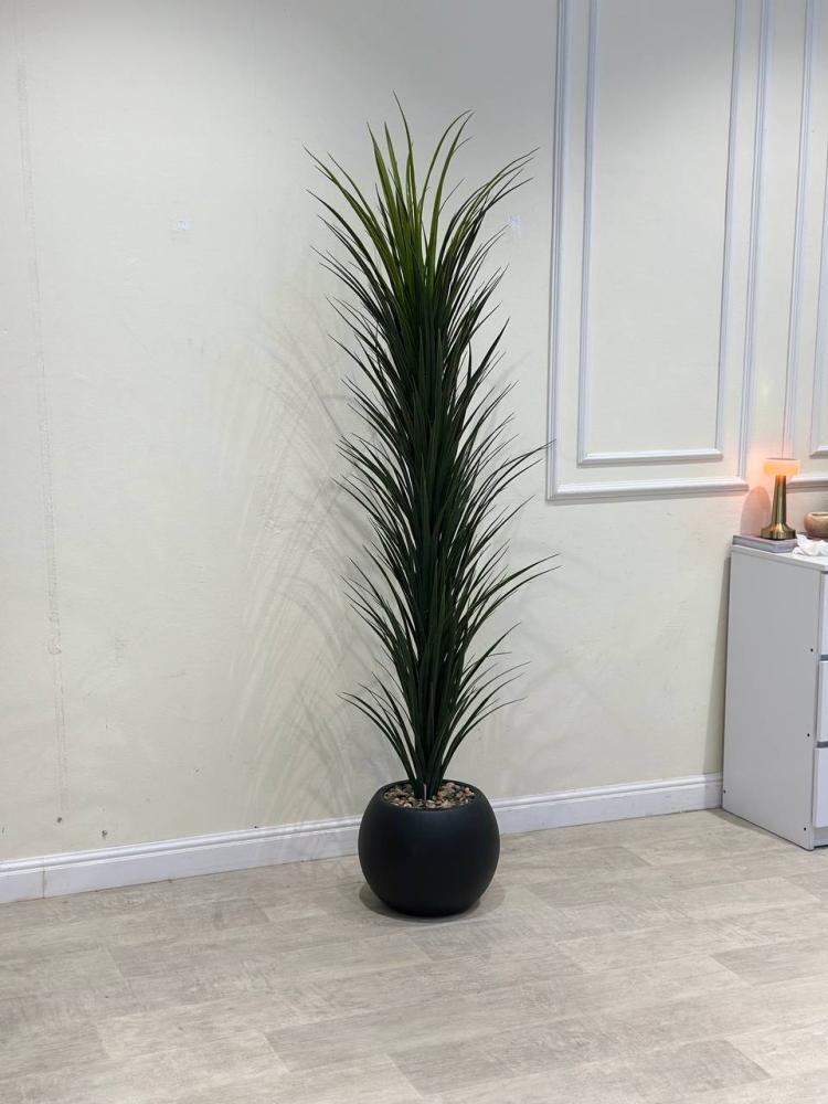 شجرة صبار بمكن بلاستيك لون اسود مقاس 170 سم