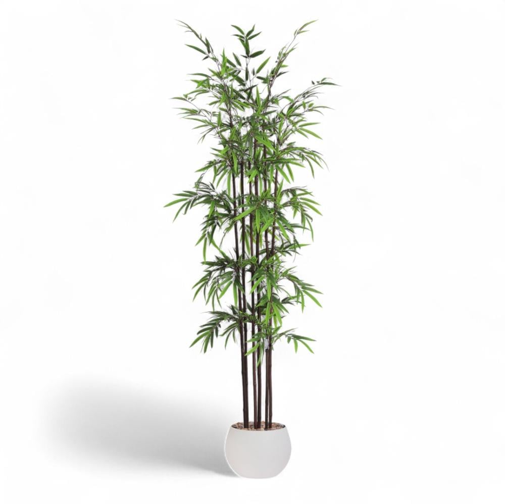 شجر بامبو 6 فرع جذع بني حوض فيبر مقاس 240 سم