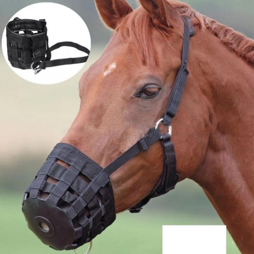 غطاء الفم للخيل - حول الفرات