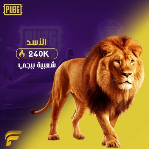 240000