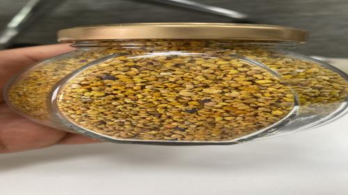 كيلو حبوب لقاح روضة خريم