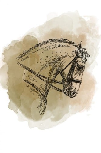 مصنع القهوه - كولمبيا اروقيت