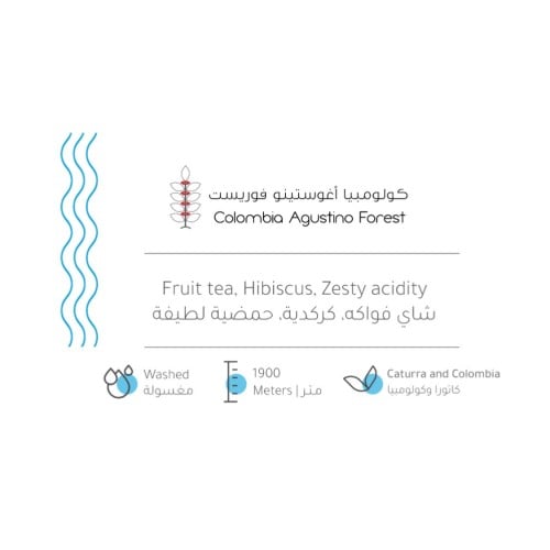 بيت التحميص - اغوستينو كيلو