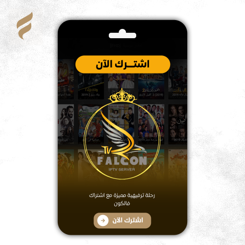 اشتراك فالكون 12 شهر