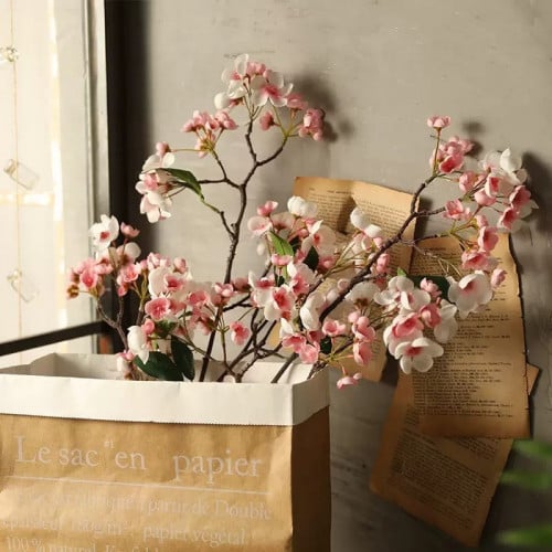 أزهار شجره الكرز.