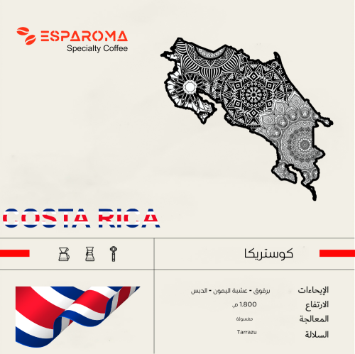 قهوة مختصة كوستاريكا 250 جرام