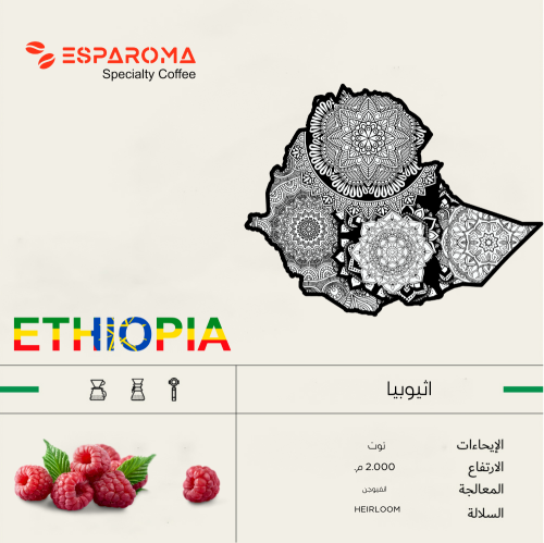 اثيوبيا توت 250 جرام