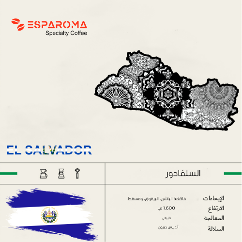 حبوب قهوة مختصة سلفادور  250 جرام