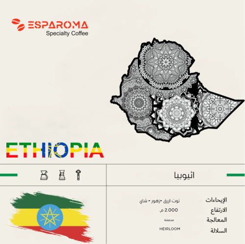 حبوب قهوة مختصة اثيوبيا  250gm