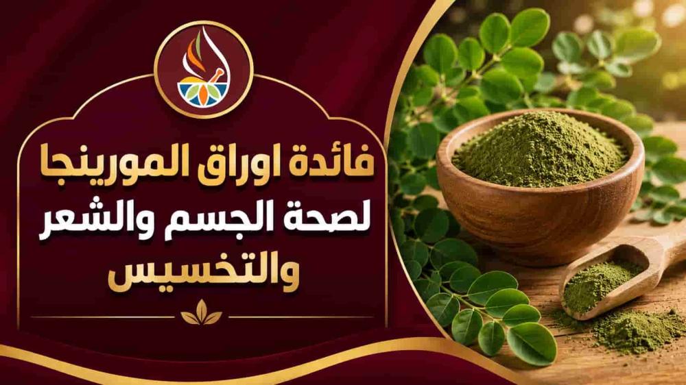 فائدة اوراق المورينجا