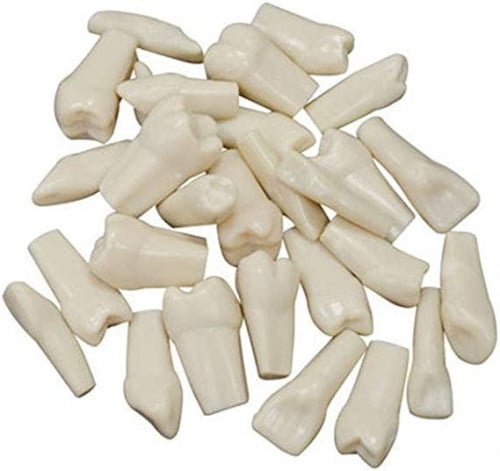 lAYAN Artificial Adult Teeth Different Size