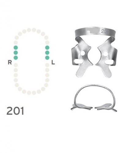 Rubber Dam Clamp Slightly festooned jaws for upper...
