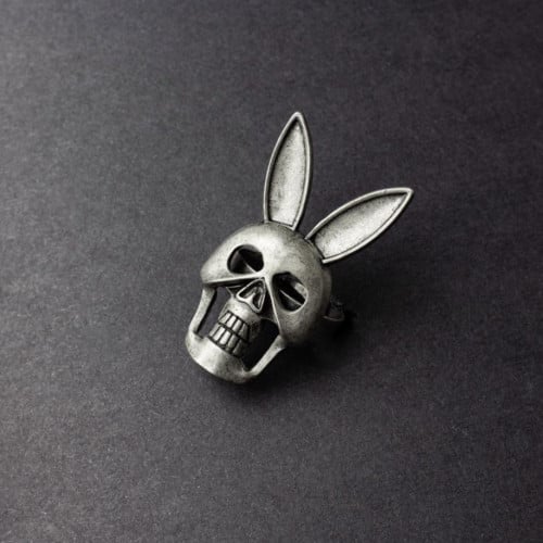 Rabbit skull