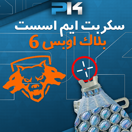 سكربتات | Scripts