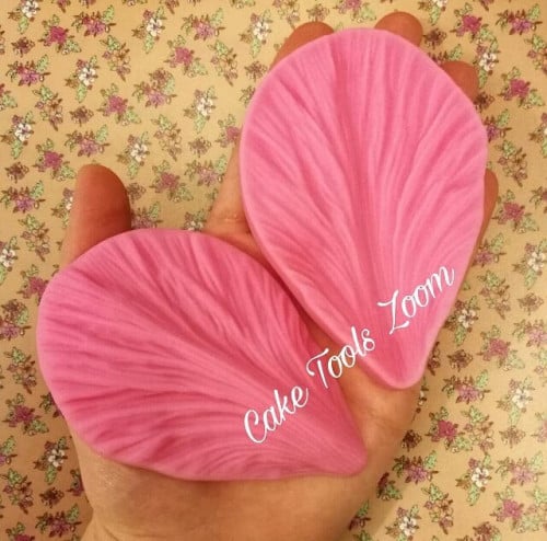 فينر بيوني كبير