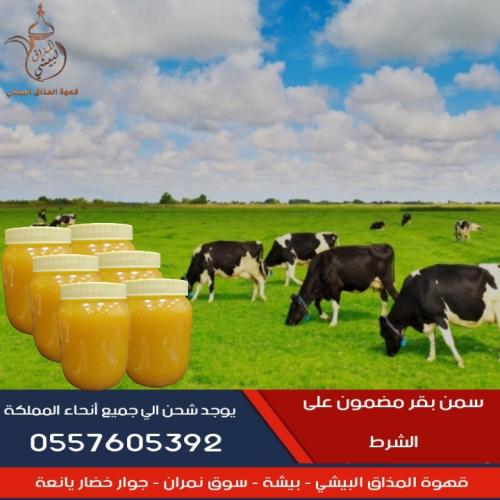 سمن بقري مضمون على الشرط