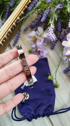 اسوارة توري بورتش