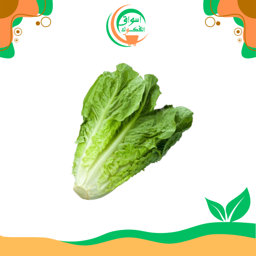 خس روماني 4 قطع