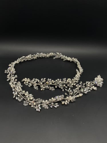 هيدبيس ظفيره